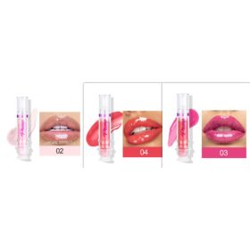 New Tube Lip Rich Lip Color Slightly Spicy Lip Honey Lip Glass Mirror Face Lip Mirror Liquid Lipstick (Option: Set5)