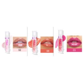 New Tube Lip Rich Lip Color Slightly Spicy Lip Honey Lip Glass Mirror Face Lip Mirror Liquid Lipstick (Option: Set3)
